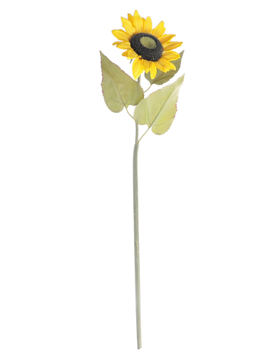 Girasol
