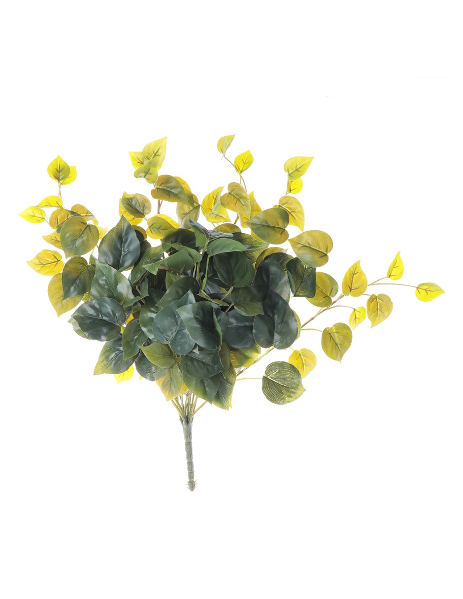 Ramo de pothos