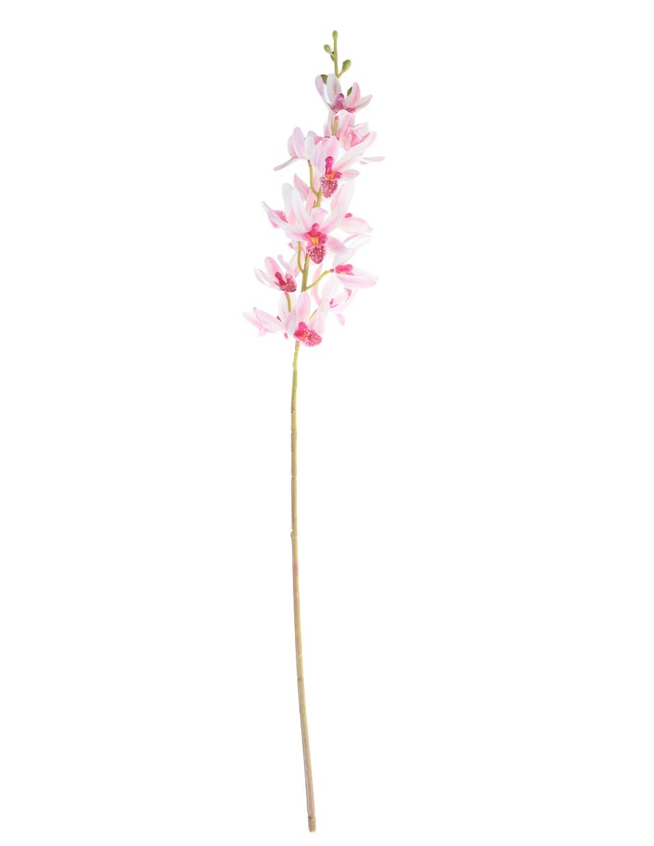 Vara de orquídea Picos
