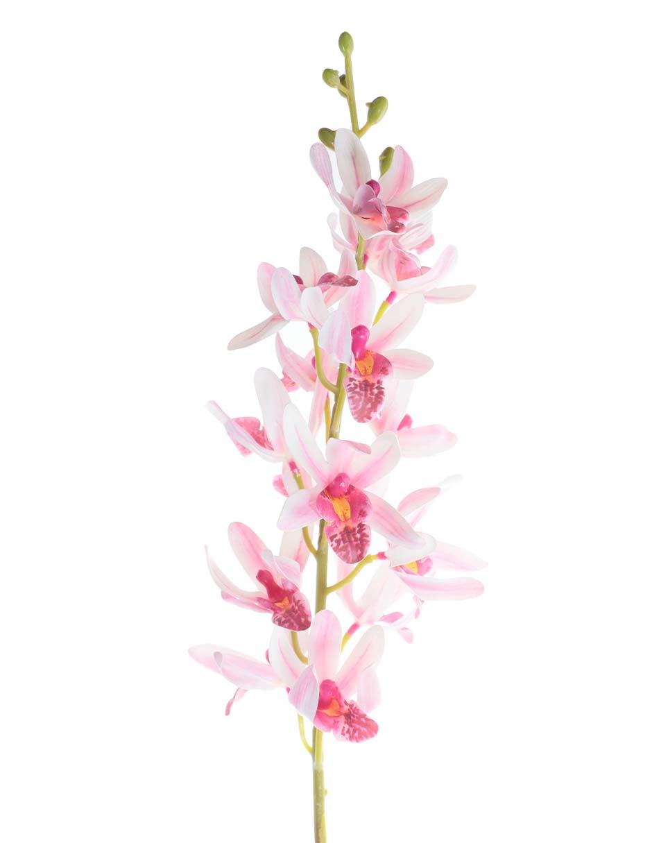 Vara de orquídea Picos 2