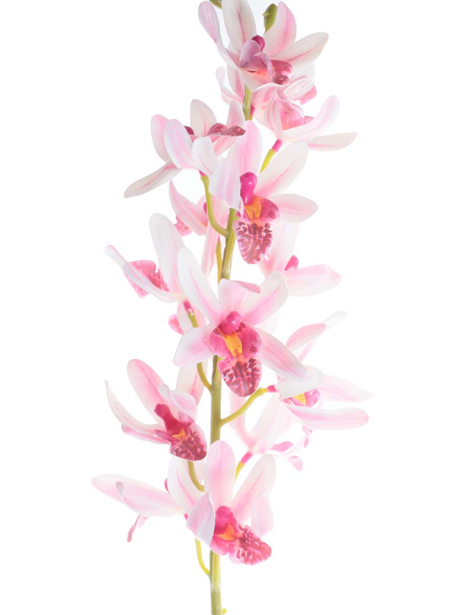 Vara de orquídea Picos 3