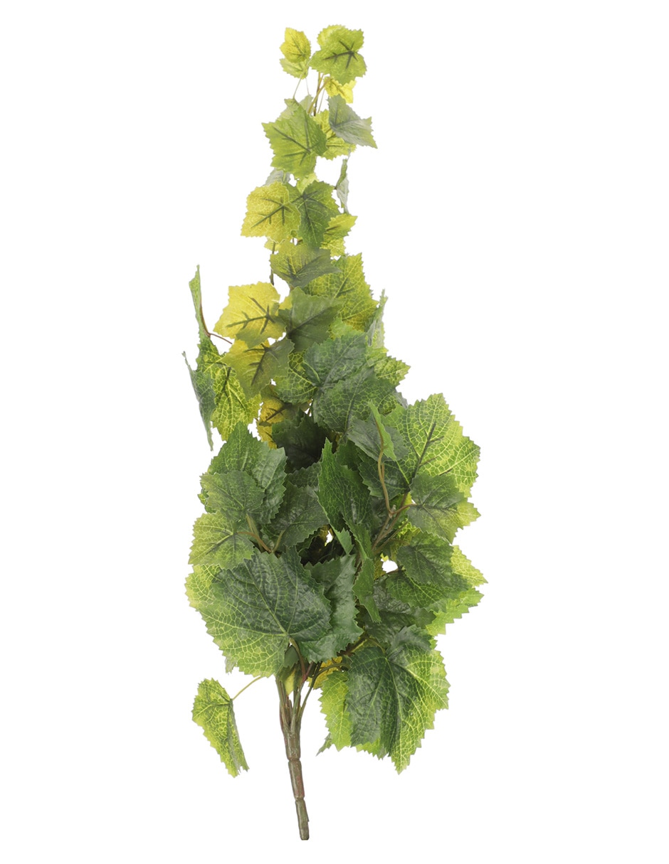 Ramo de ivy pick