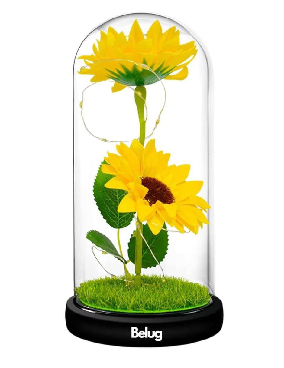 Girasol Girasol
