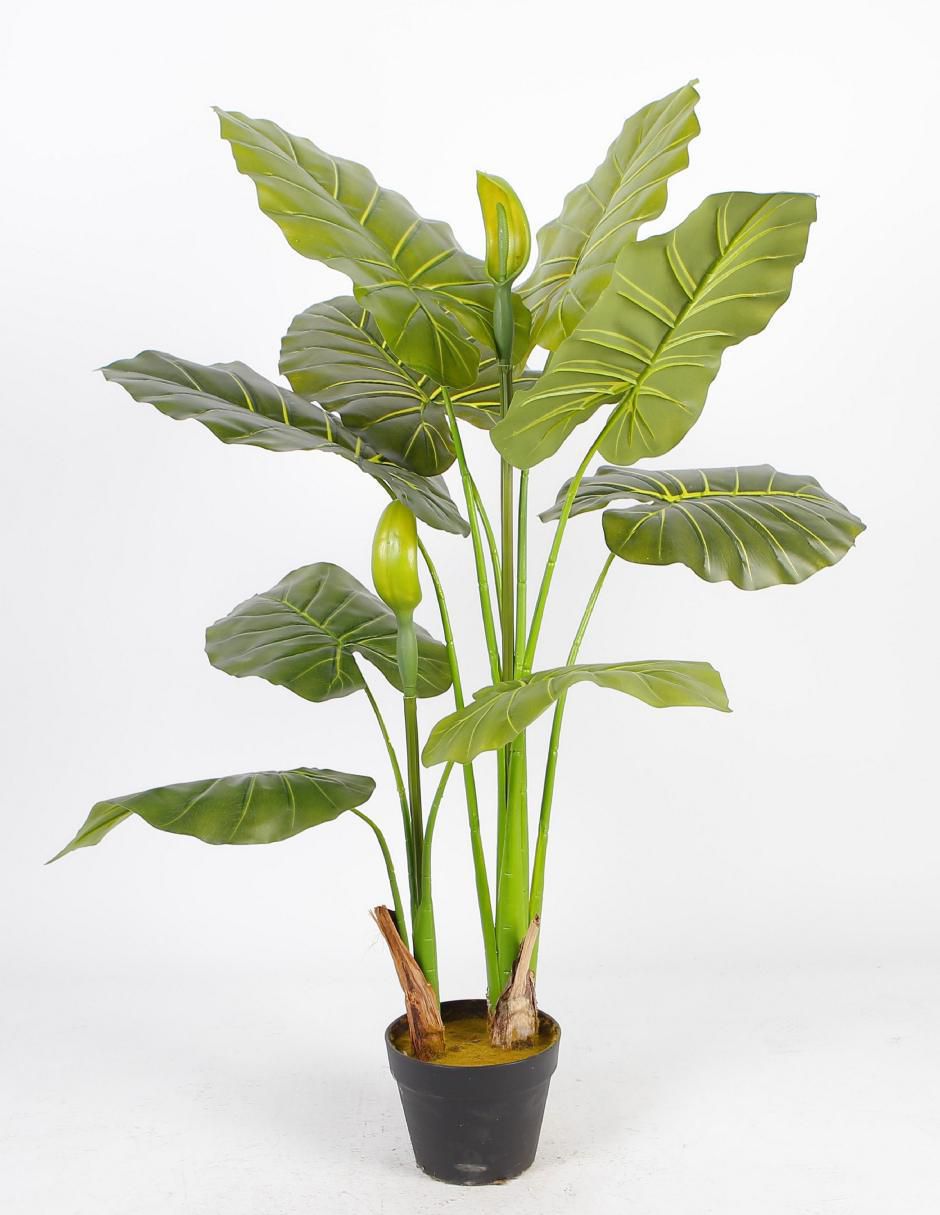 Alocasia artificial 1