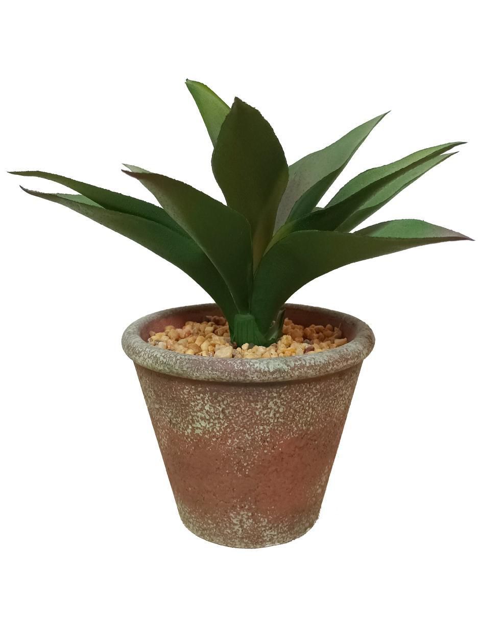 Agave artificial 1