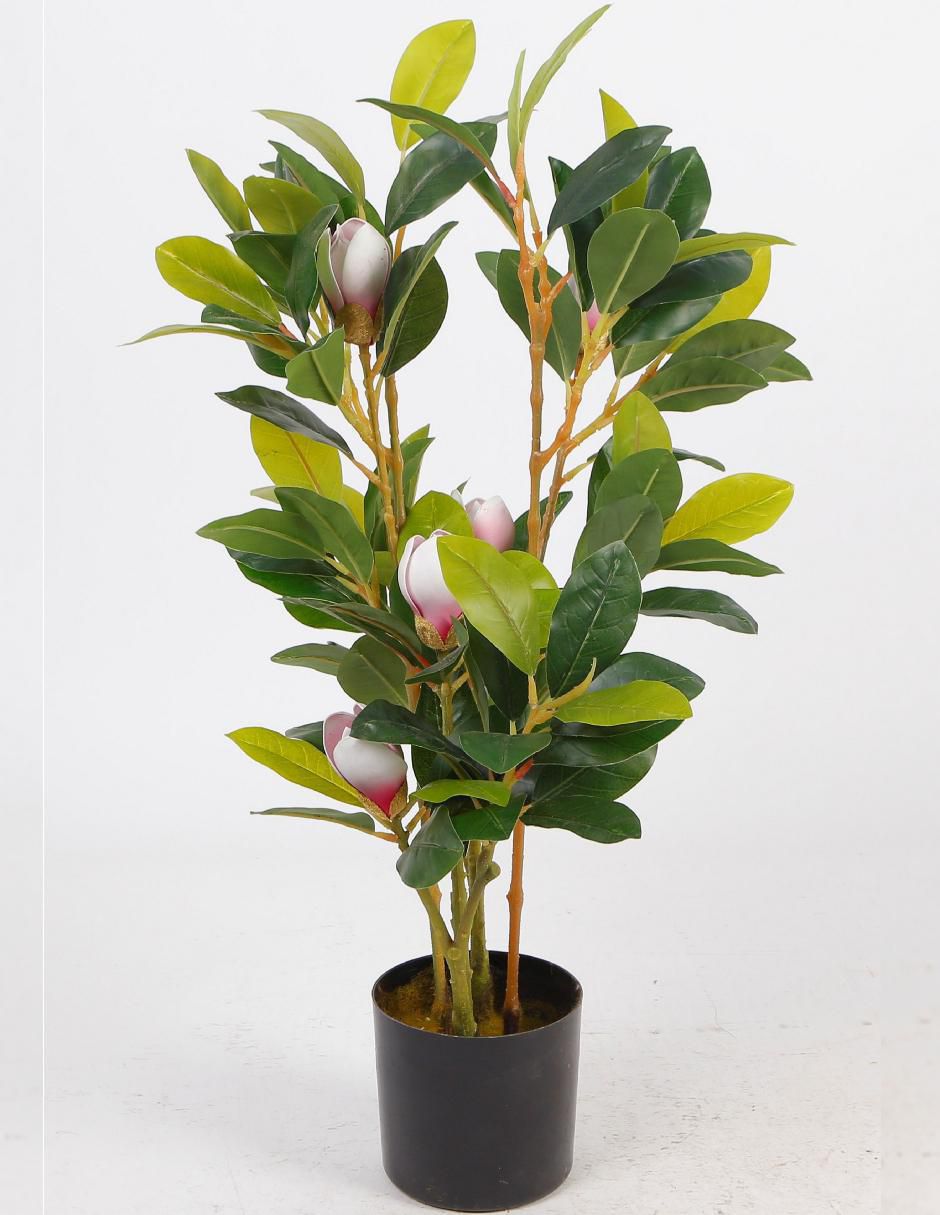 Magnolia artificial Magnolia artificial