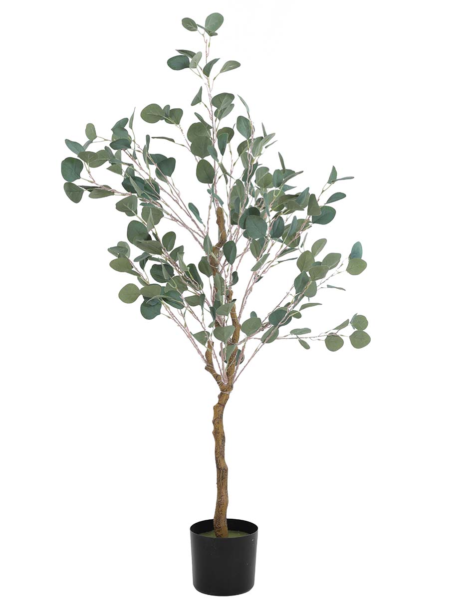 Árbol con luz Árbol con luz