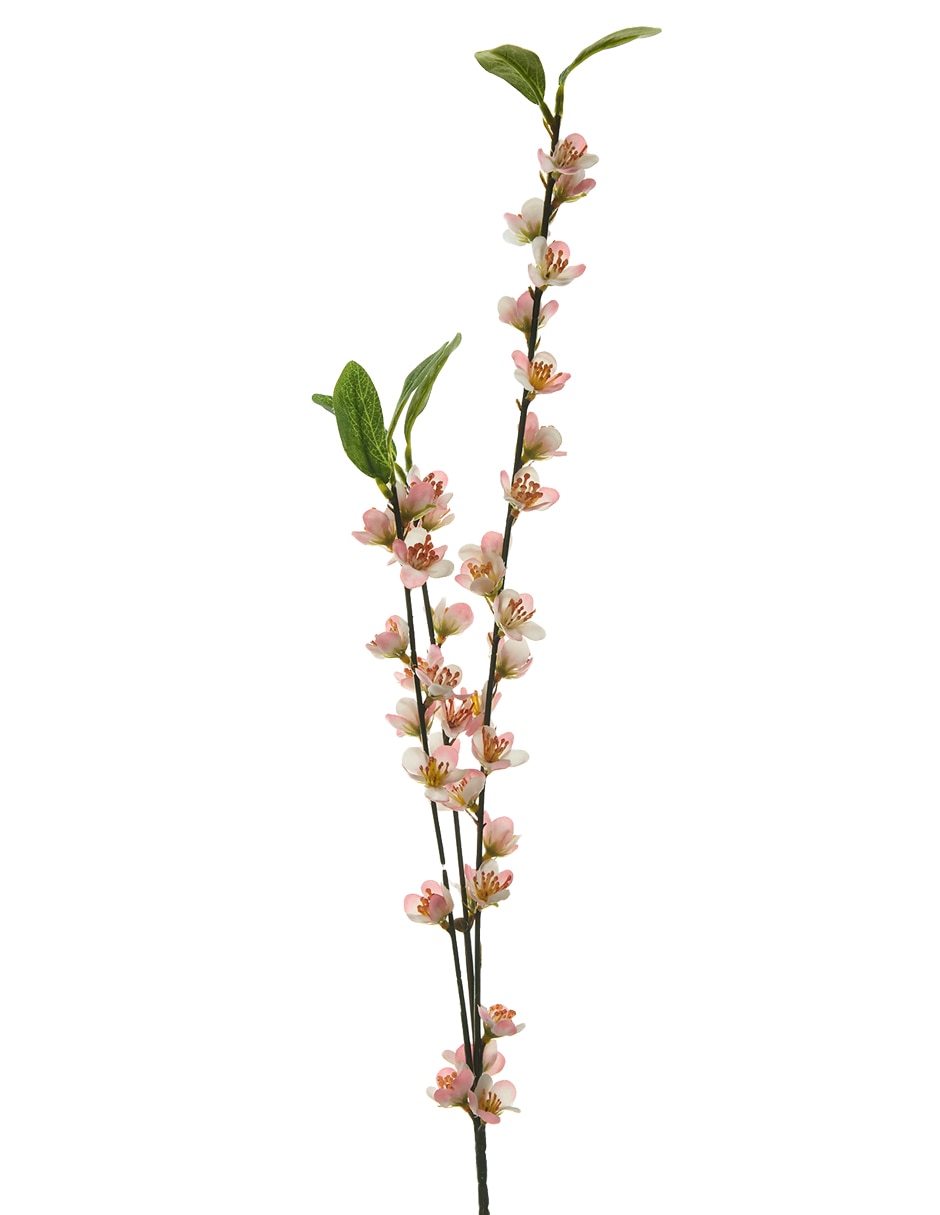 Vara decorativa 2