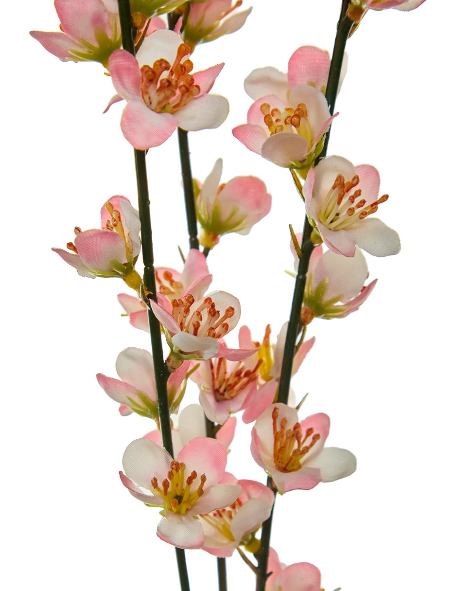 Vara decorativa 3