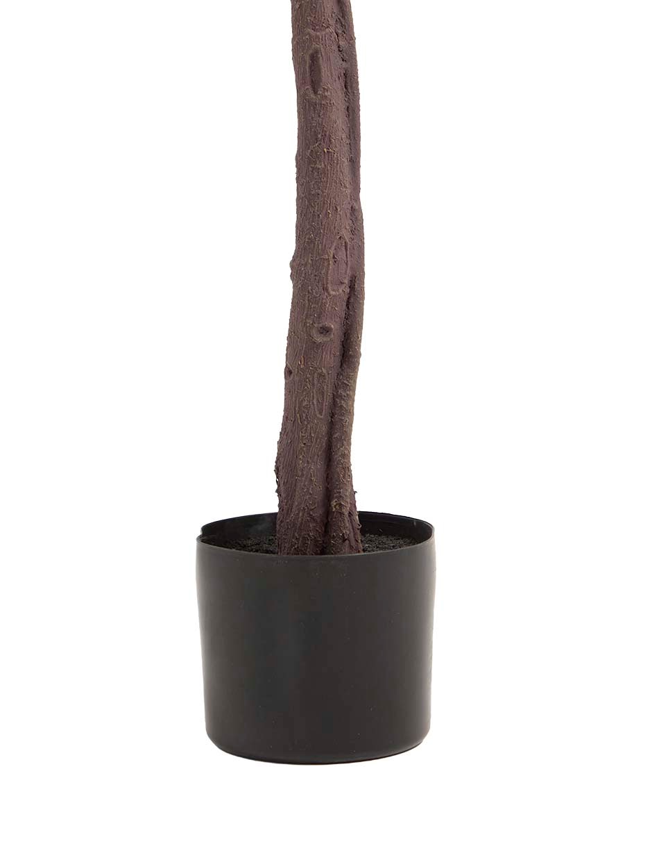 Maple 150 cm con maceta 3