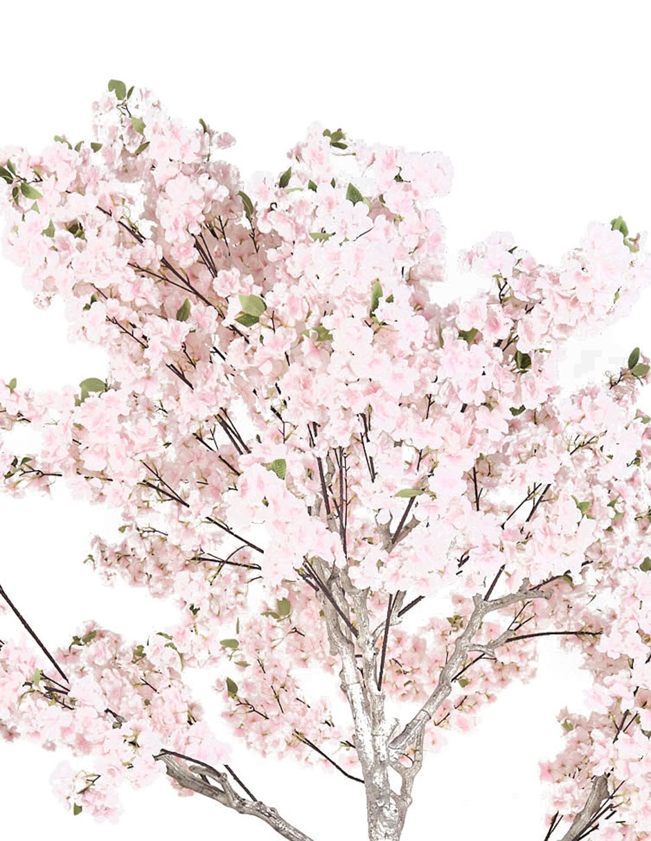 Árbol 2
