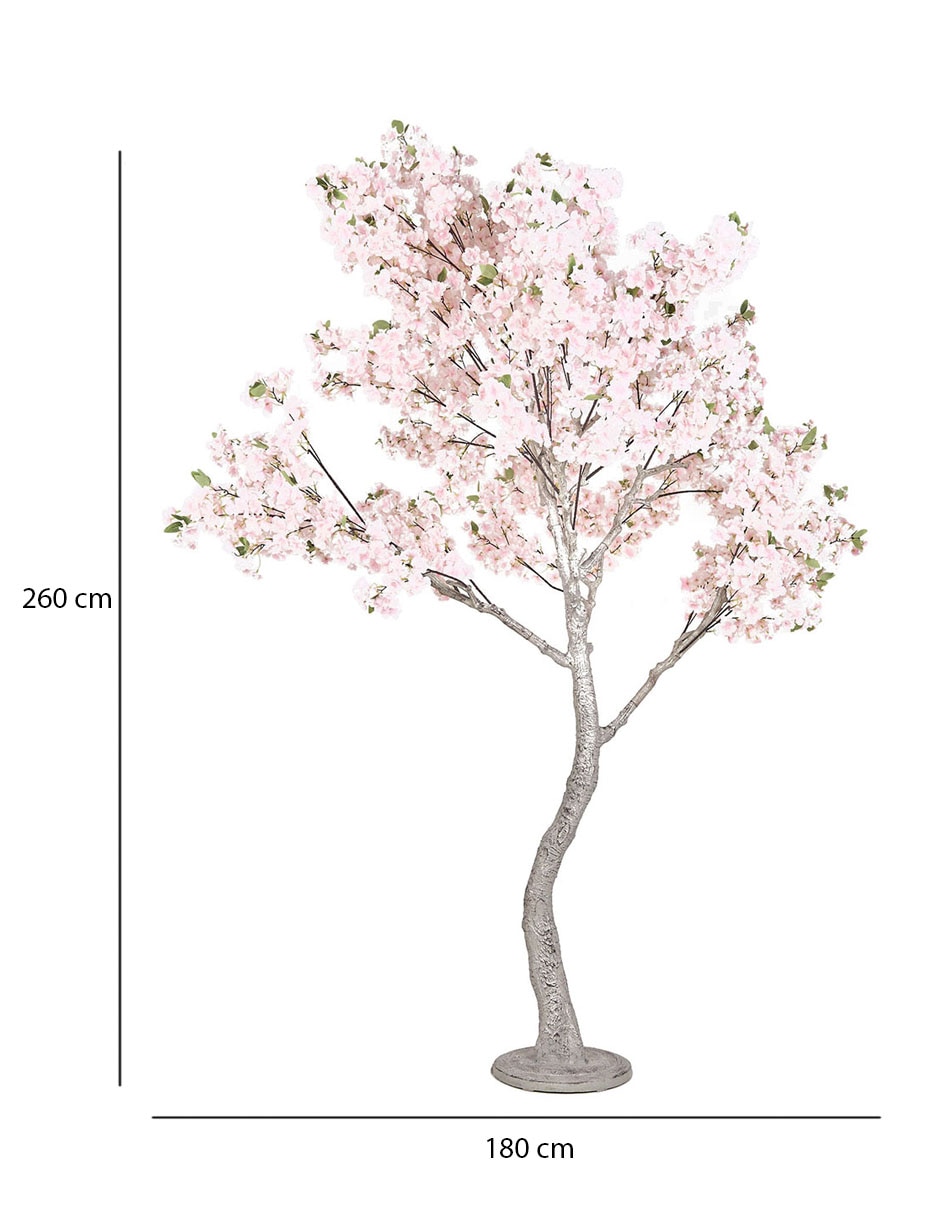 Árbol 5