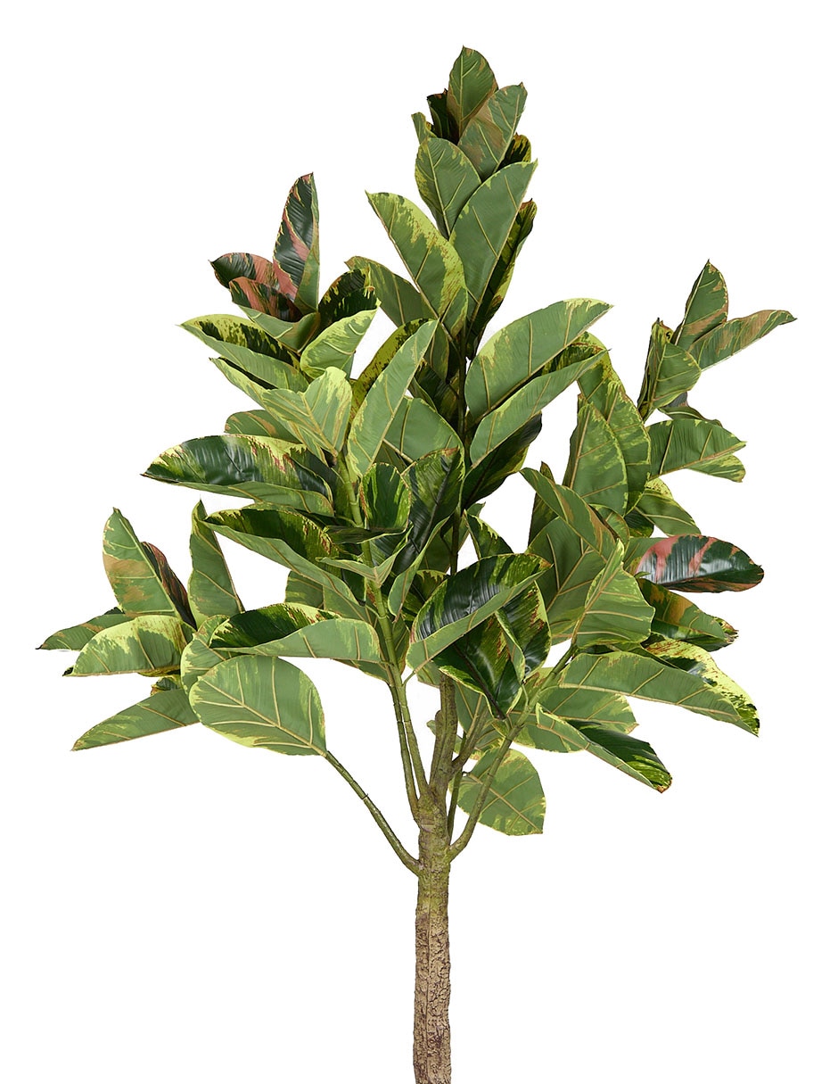 Árbol 2