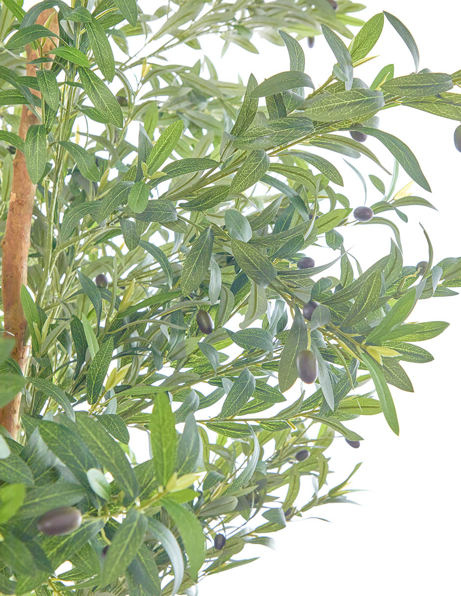 Árbol