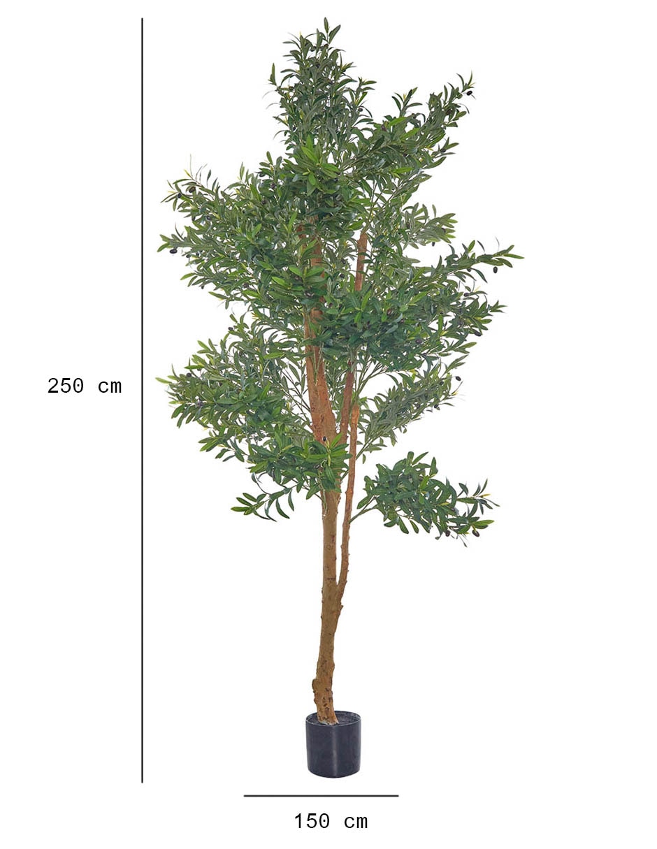 Árbol