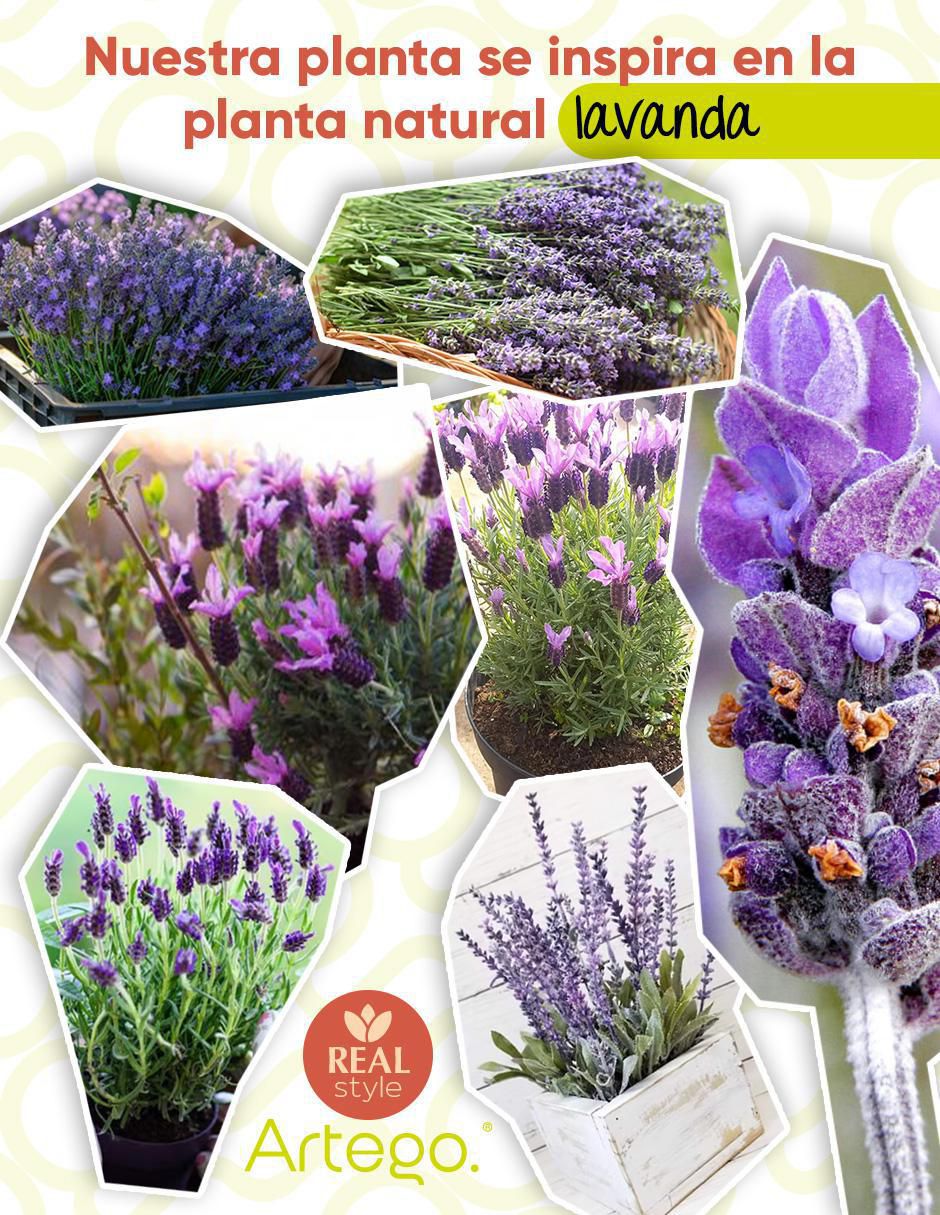 Lavanda artificial con maceta 3