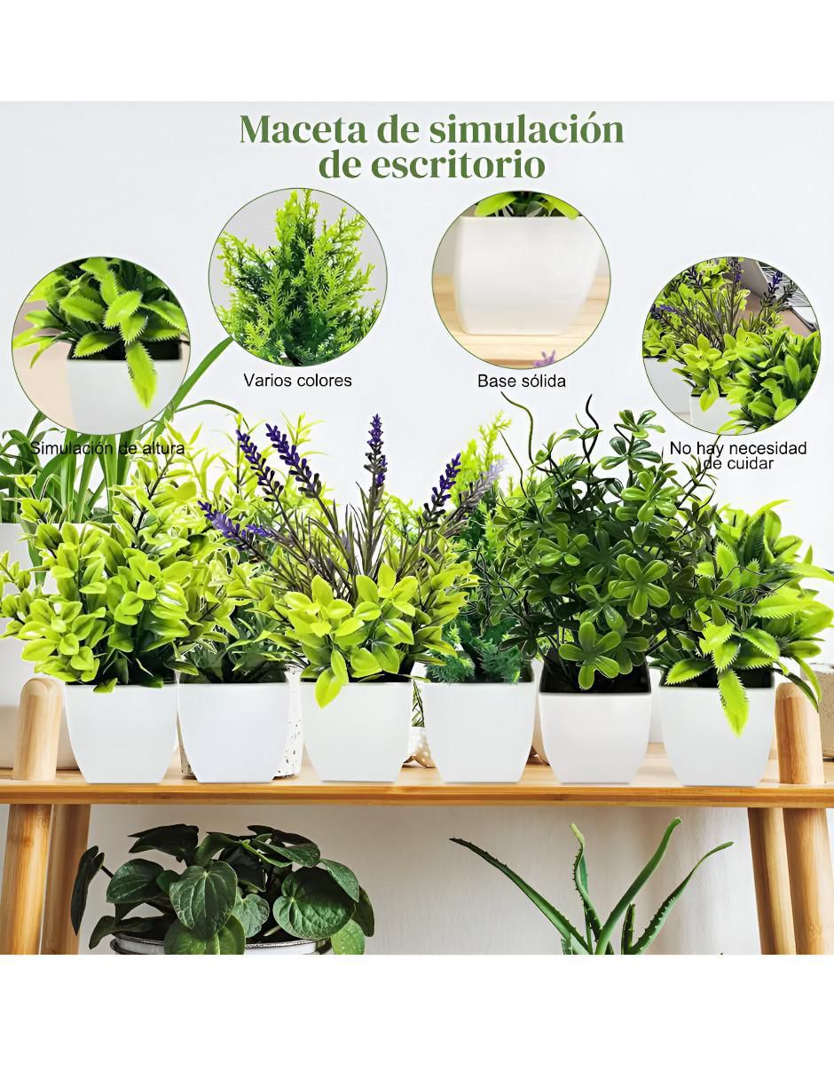 Lavanda natural 2