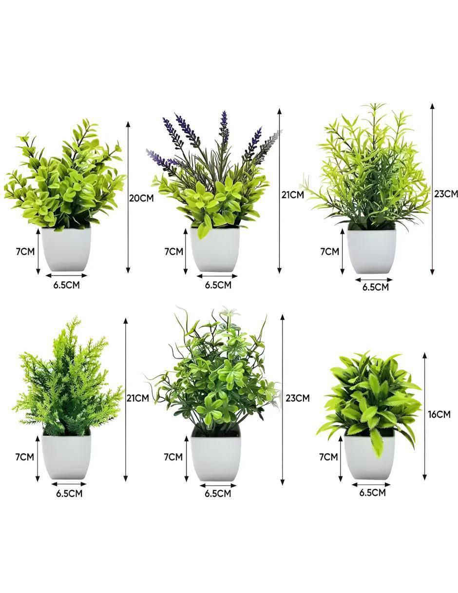 Lavanda natural 5