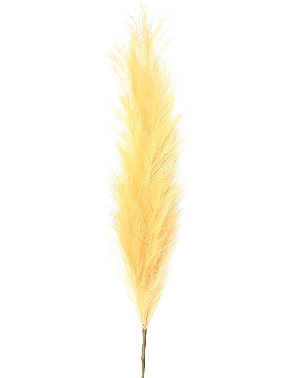 VARA HIERBA PAMPA, 99 CM, AMARILLO