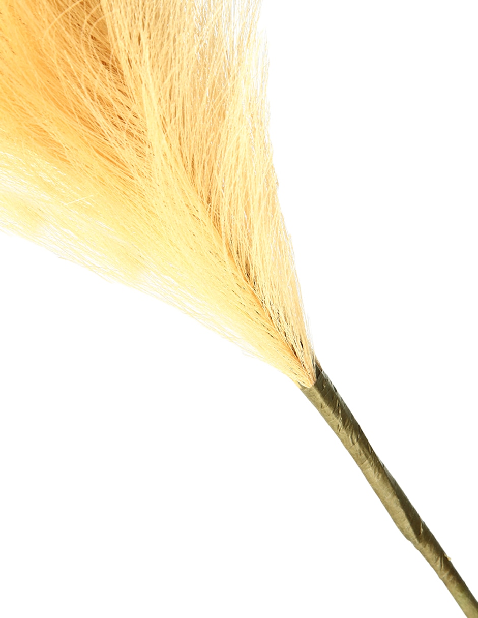VARA HIERBA PAMPA, 99 CM, AMARILLO