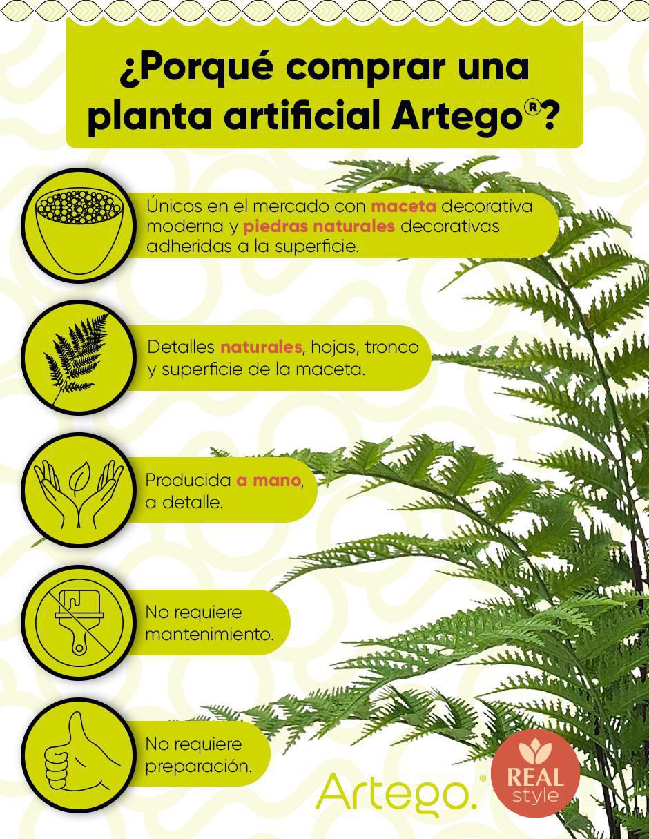 Helecho artificial 2