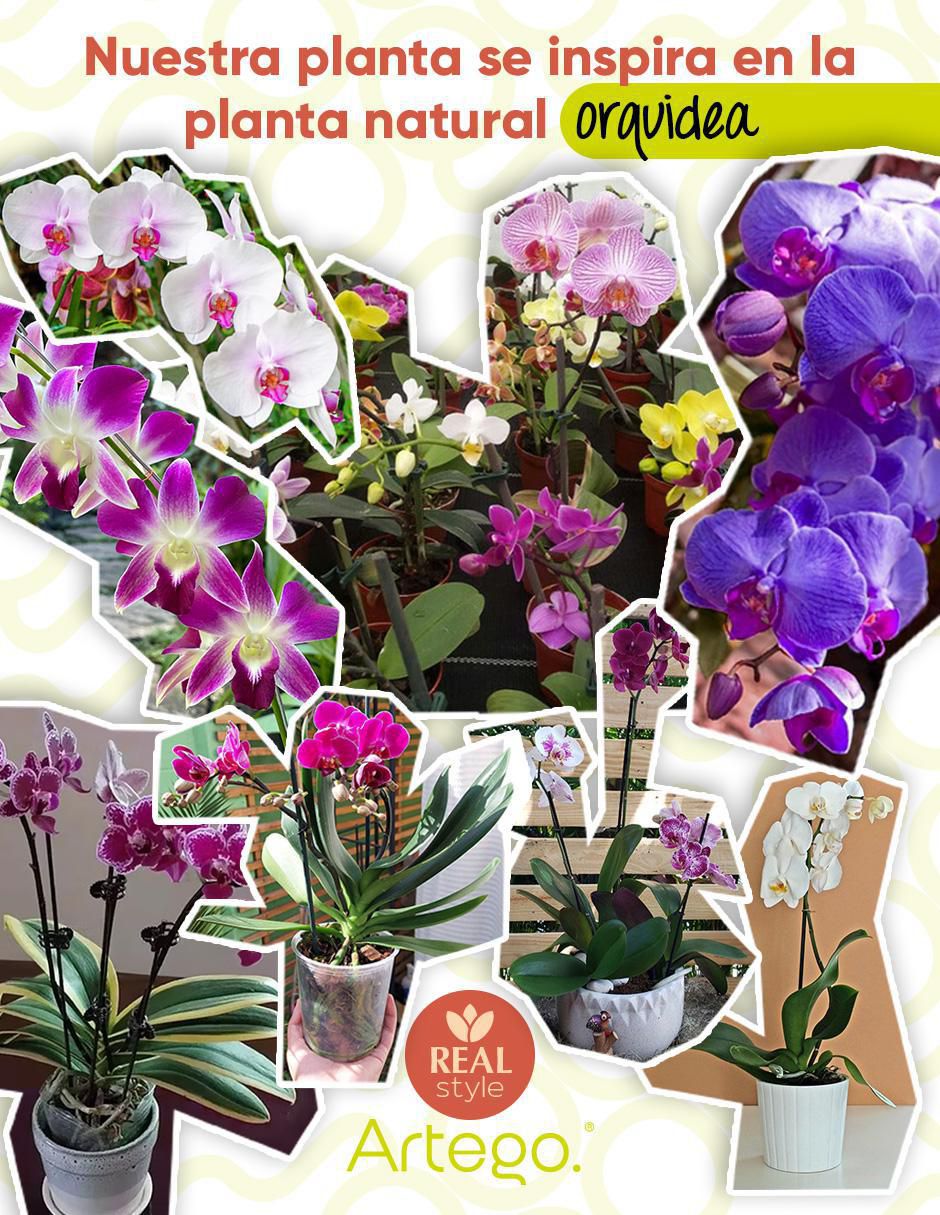 Orquídea artificial artego con maceta