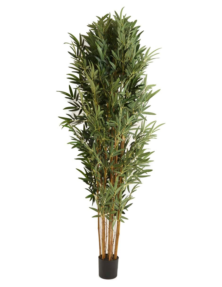 Árbol