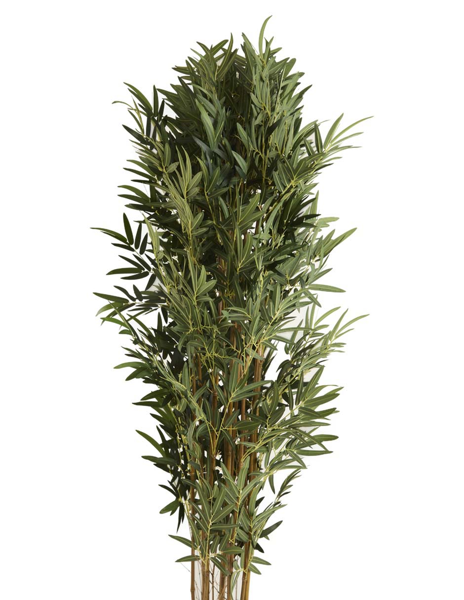 Árbol 2