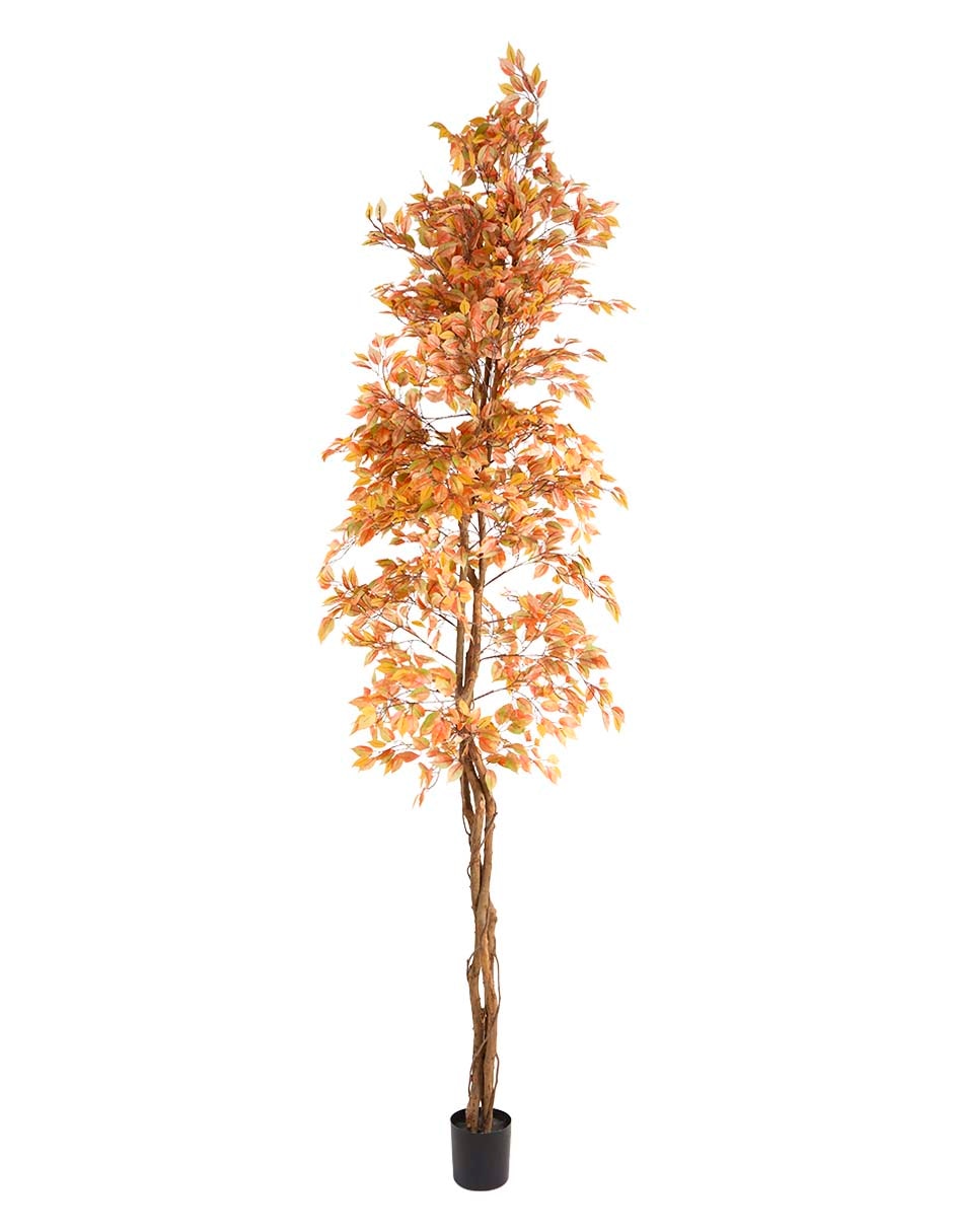 Árbol