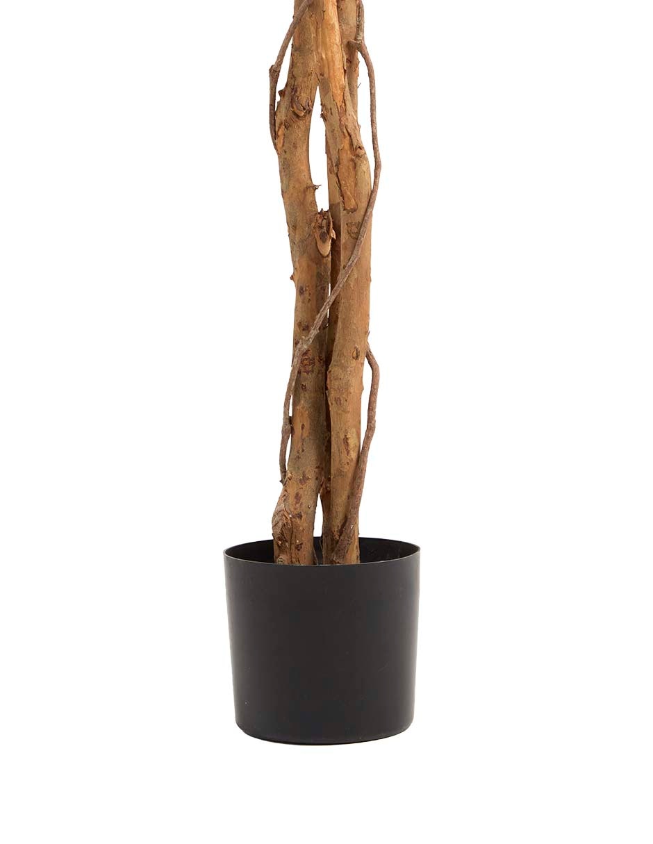Árbol 3