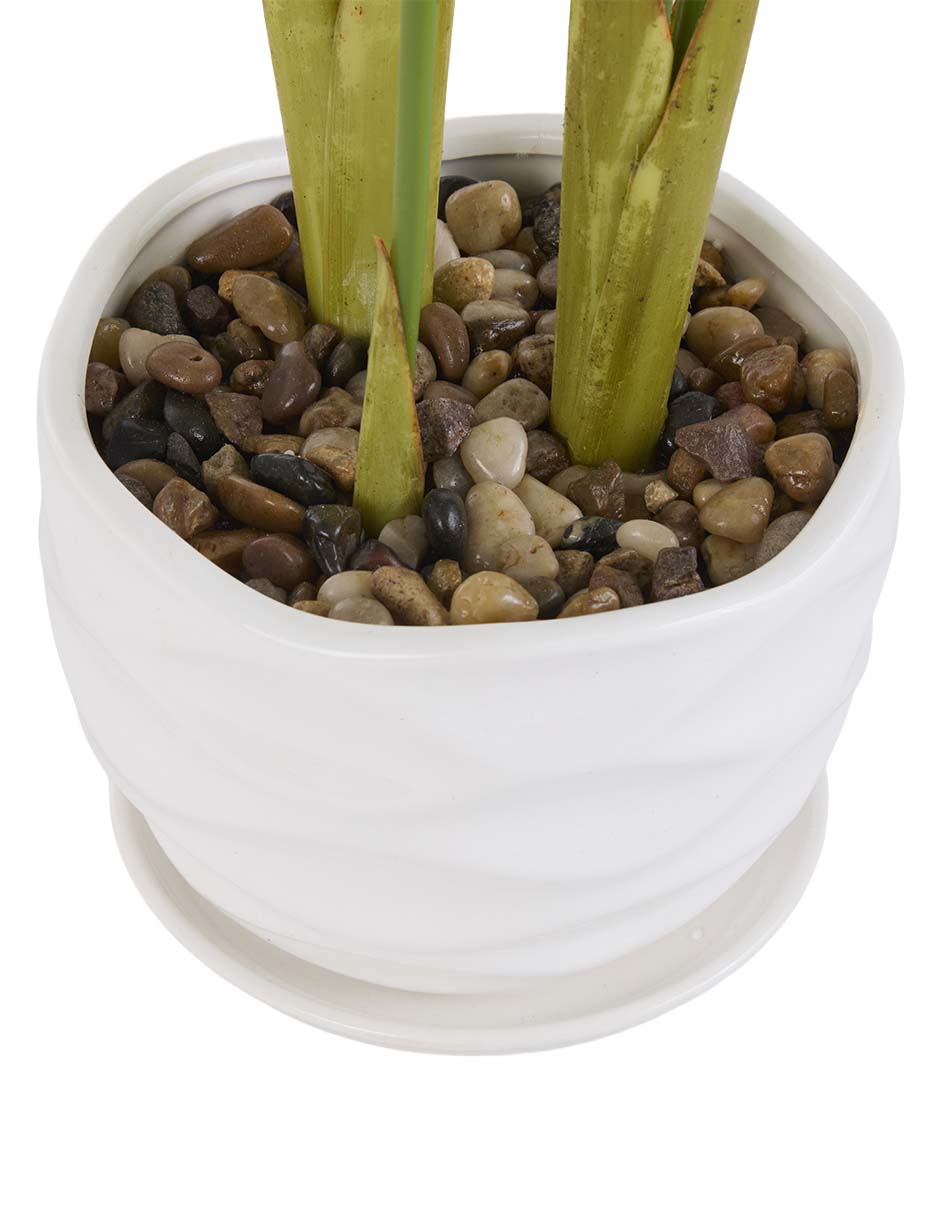 Prelaborado de monstera 4