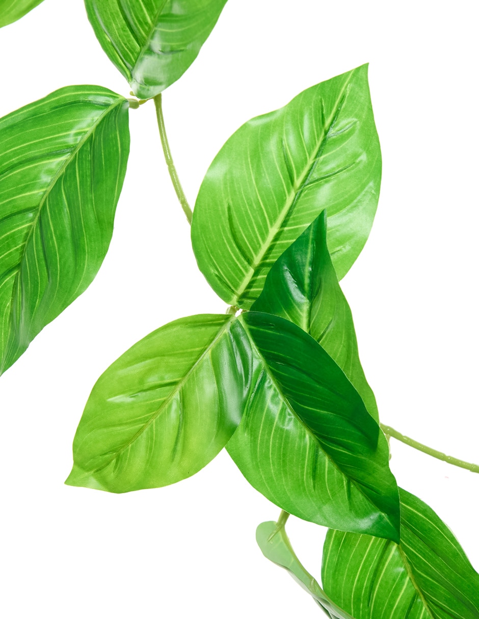 Guirnalda de aglaonema 160 cm 2
