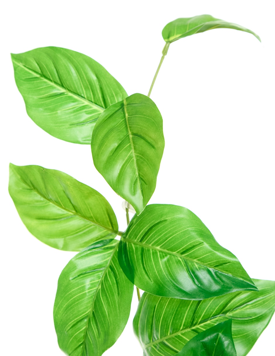 Guirnalda de aglaonema 160 cm 3