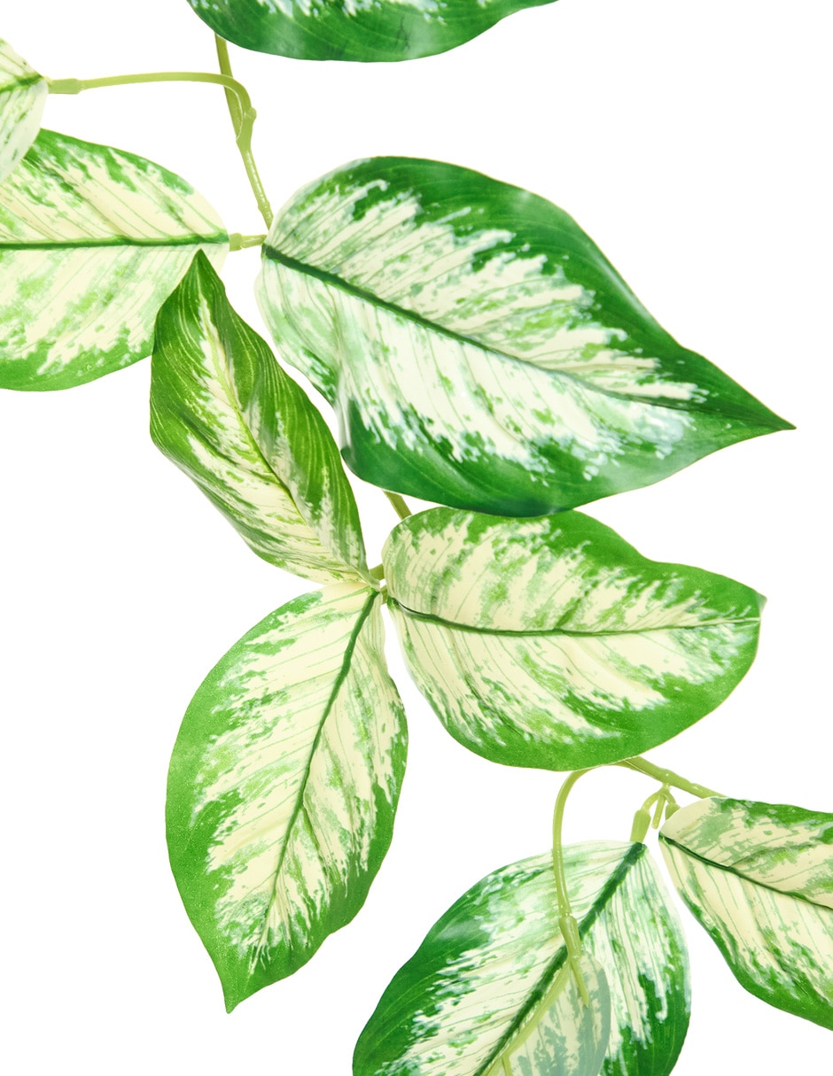 Guirnalda de aglaonema 160 cm 2
