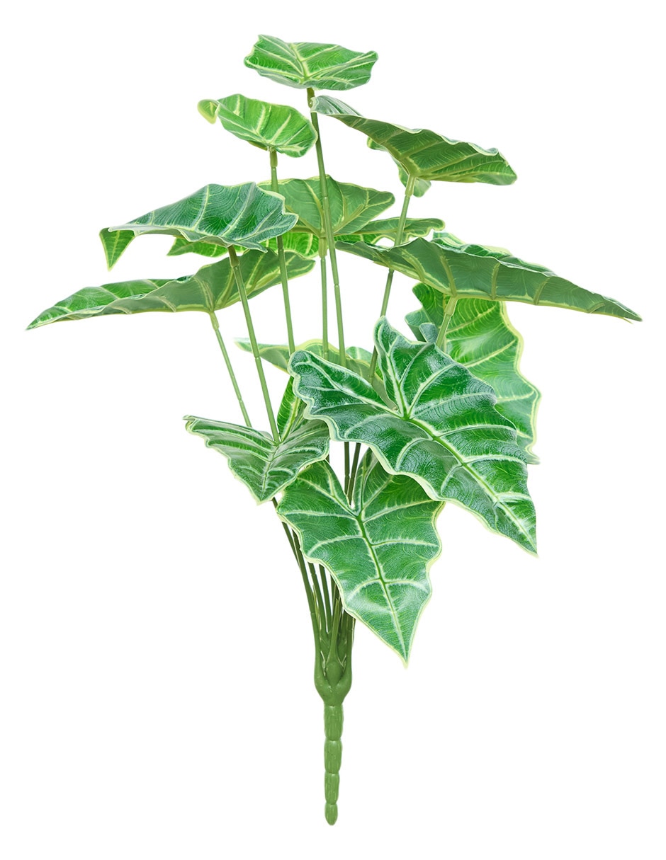 Ramo de caladium
