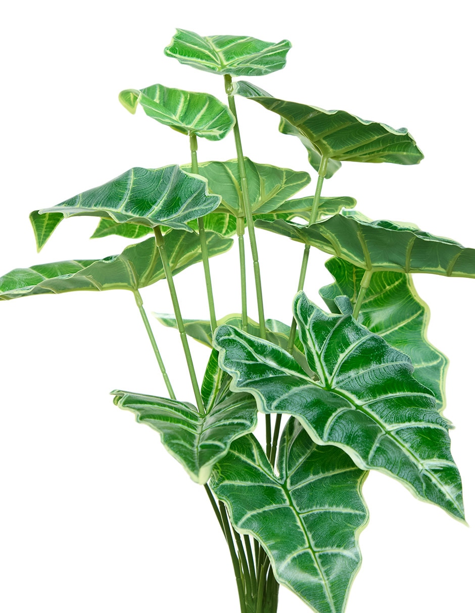 Ramo de caladium 2
