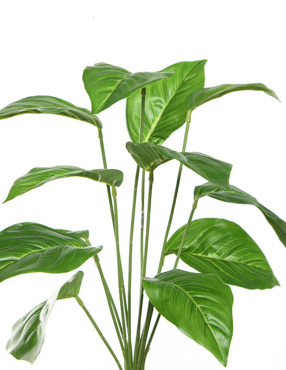 Ramo de aglaonema 3