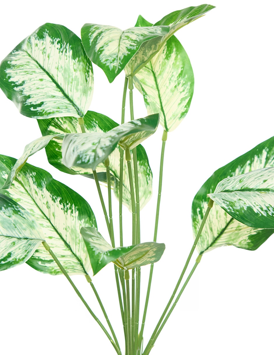 Ramo de aglaonema 2