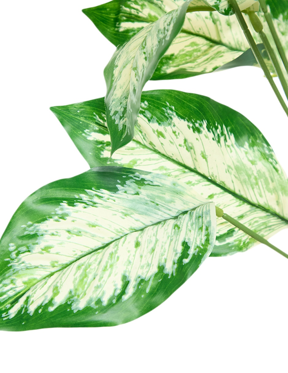 Ramo de aglaonema 3