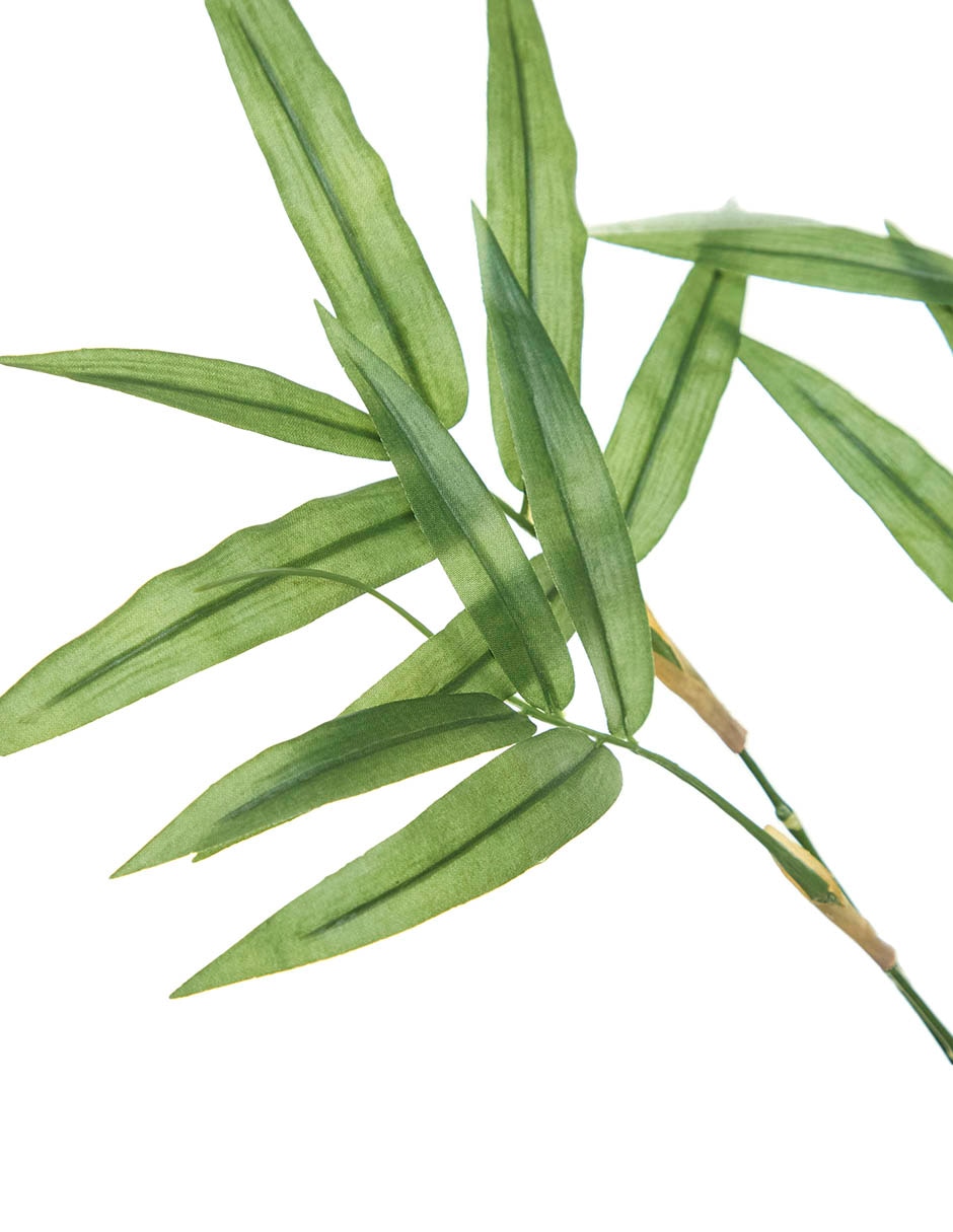 Bambú decorativa 3