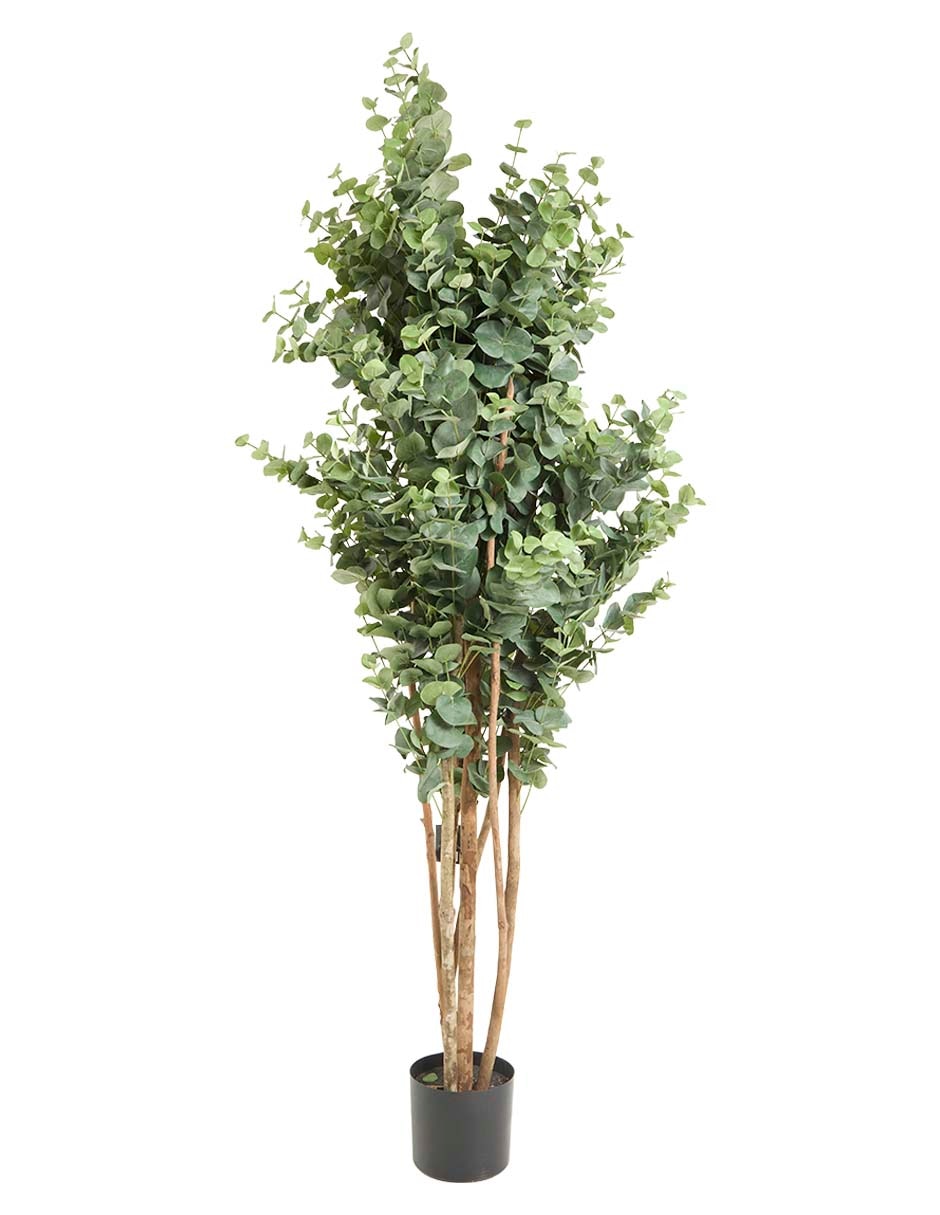 Árbol