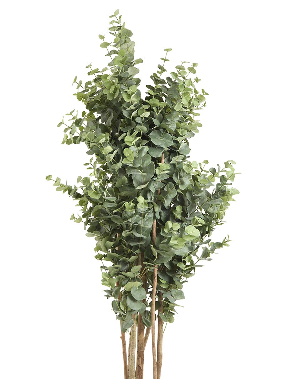 Árbol 2