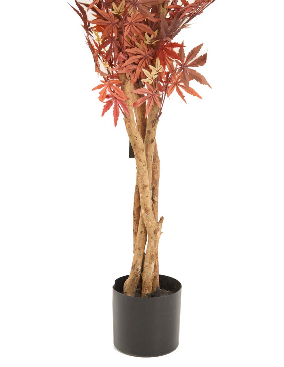 Árbol 3