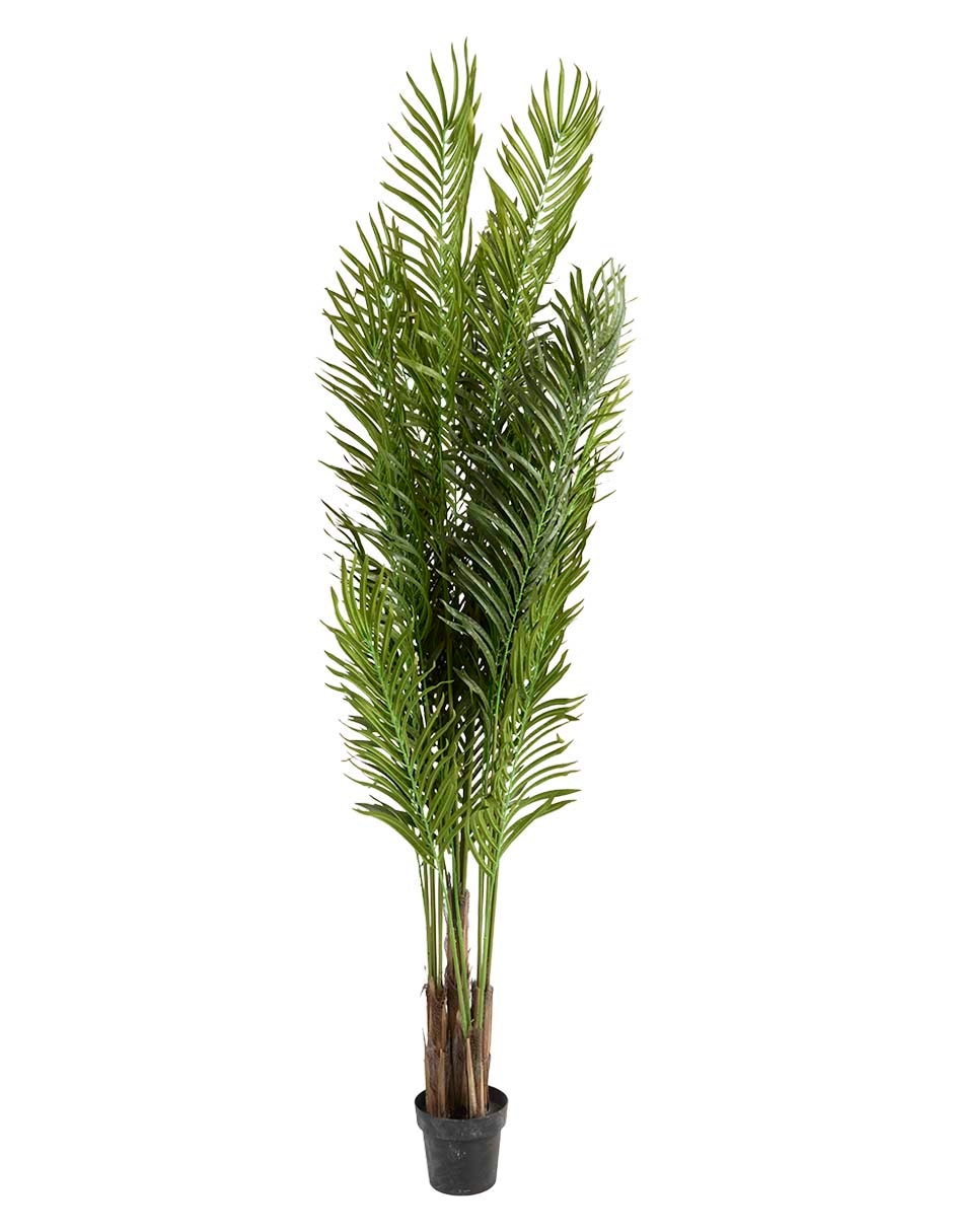Árbol