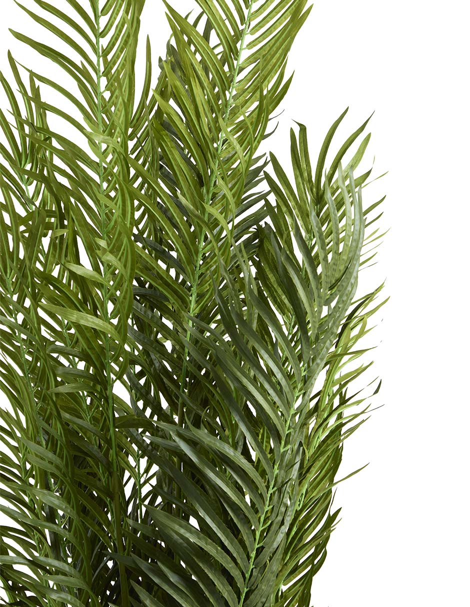 Árbol 2