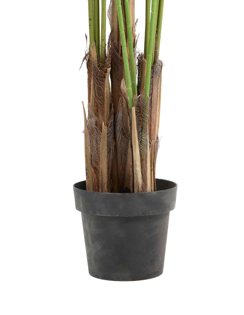 Árbol 3
