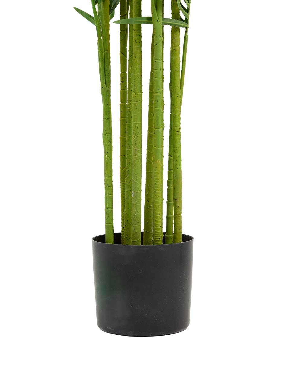 Árbol 3