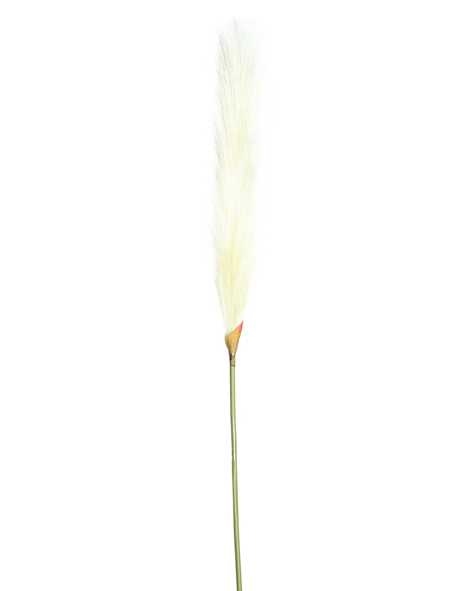 Vara decorativa Pampa 2