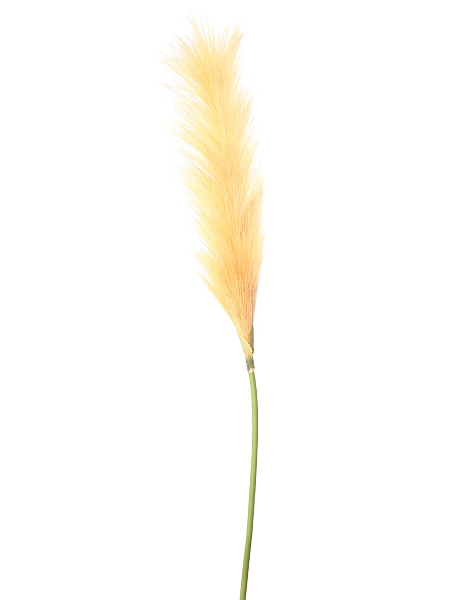 Pampa decorativa 2