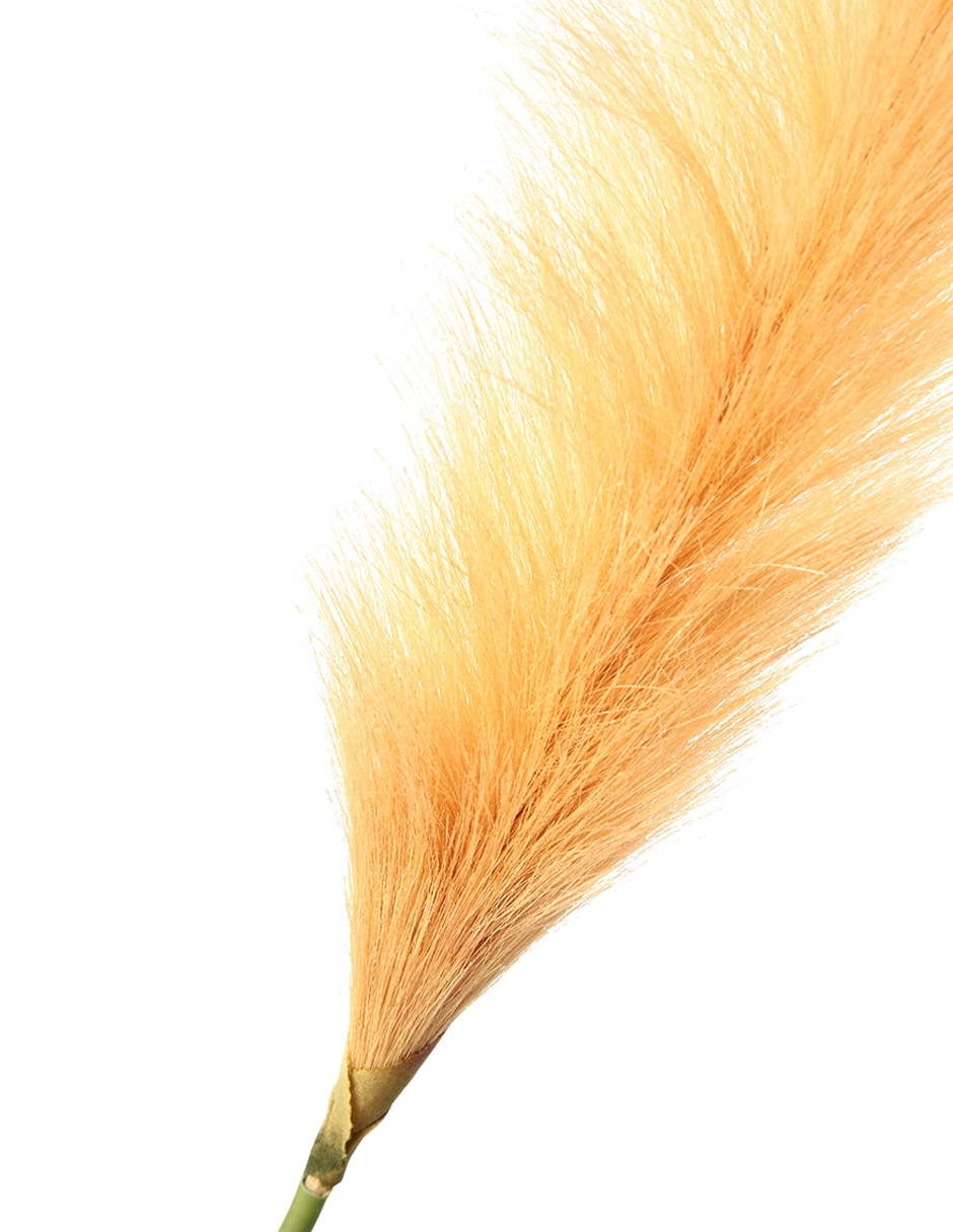 Pampa decorativa 3